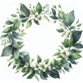 Watercolor wreath with jasmine flowers and green leaves isolated on white background. Royalty Free Stock Photo